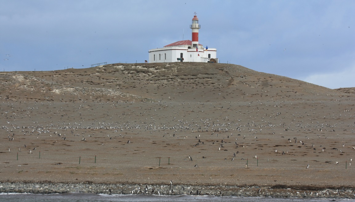 Approaching the penguin colony