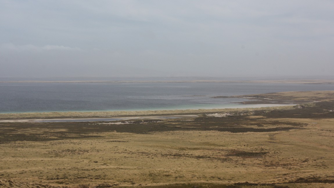 East of Johnson's Harbour