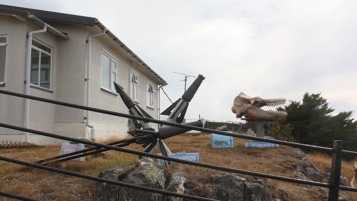 Anti-whaling display