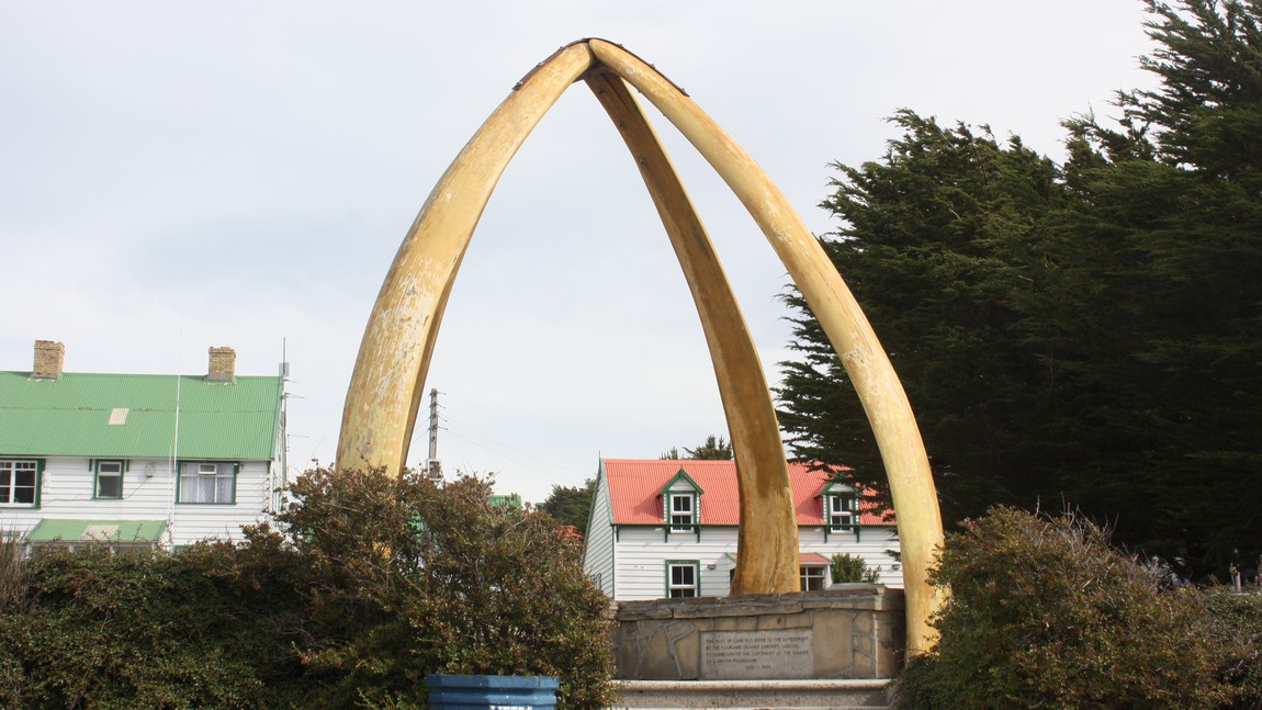 Whale bone structure