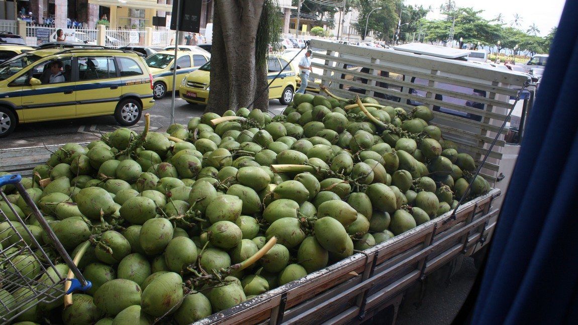 Truckload of young coconuts
