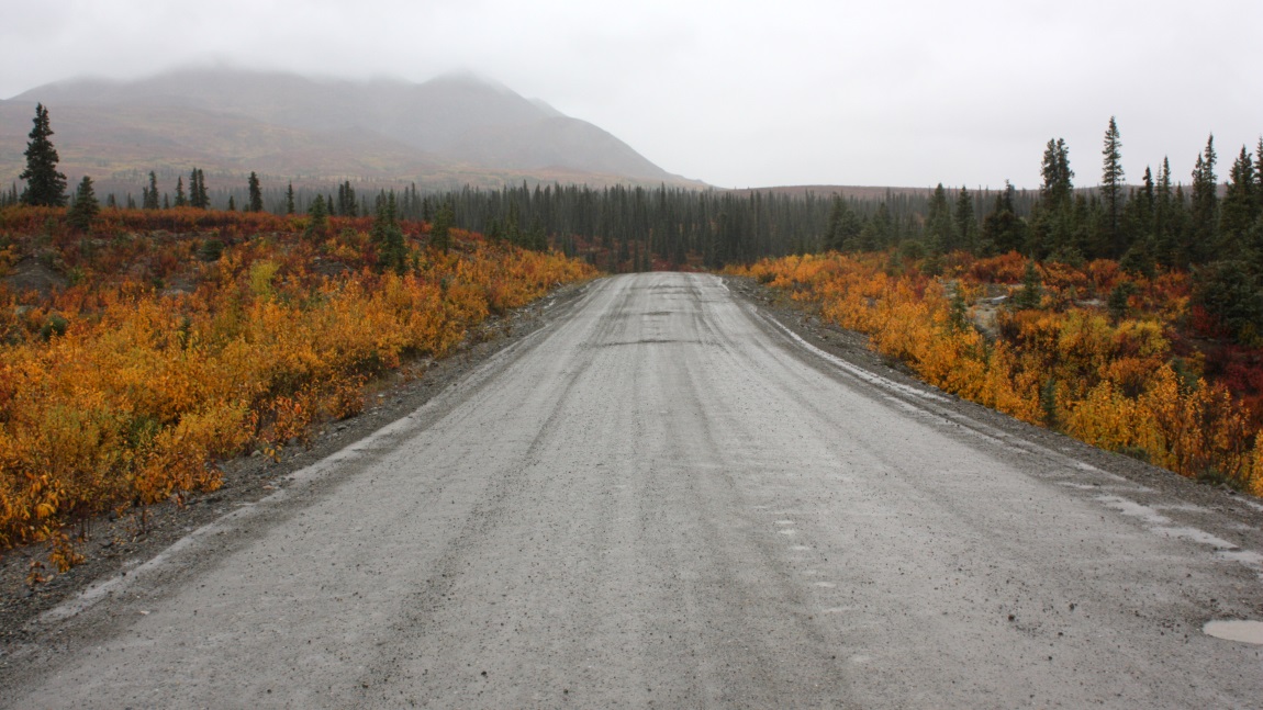 20 Miles east of Cantwell