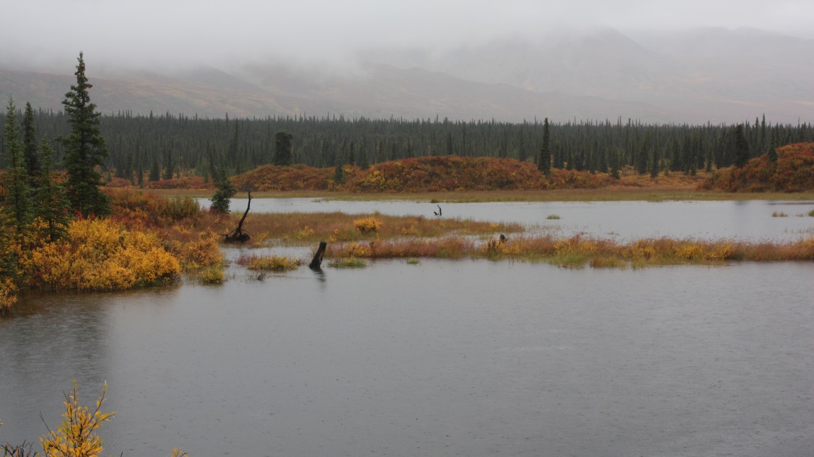 Twelve miles east of Cantwell