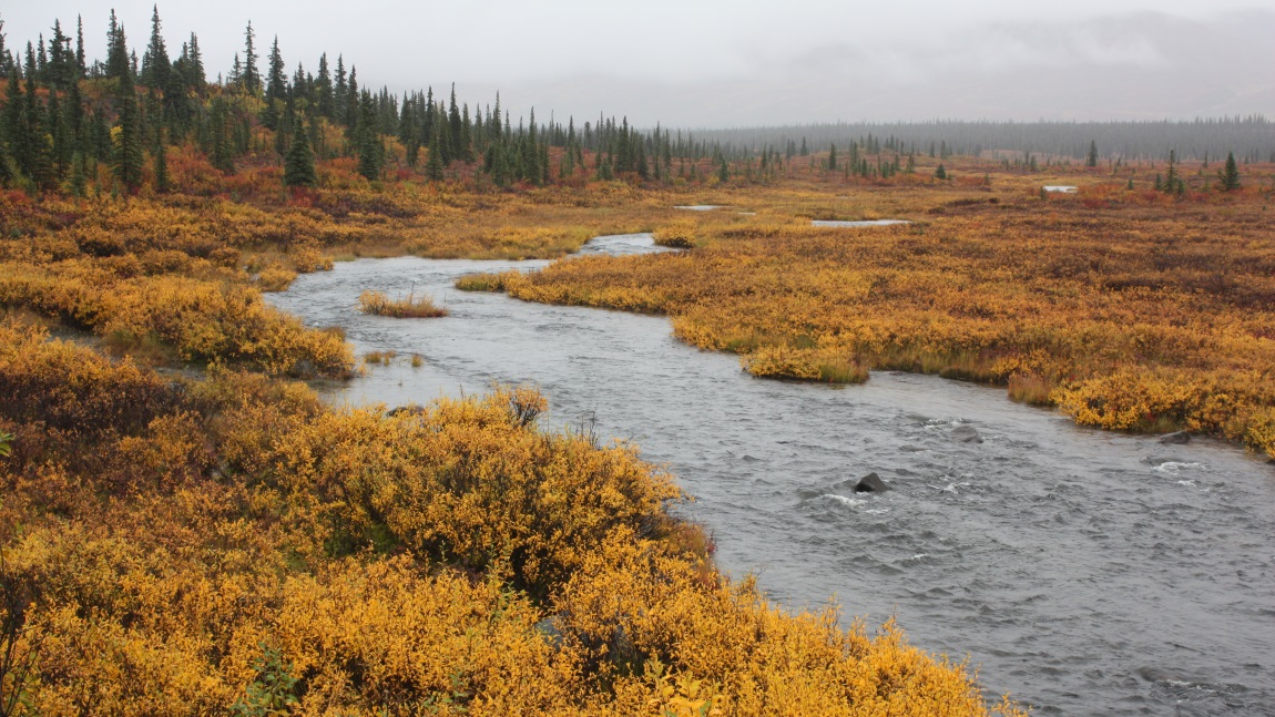 Ten miles east of Cantwell