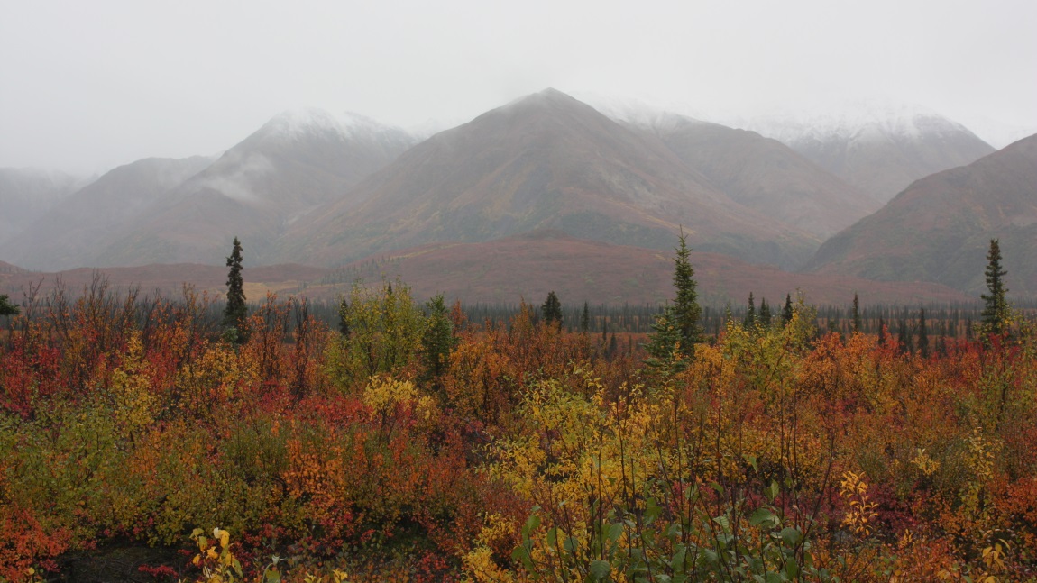 Seven miles east of Cantwell