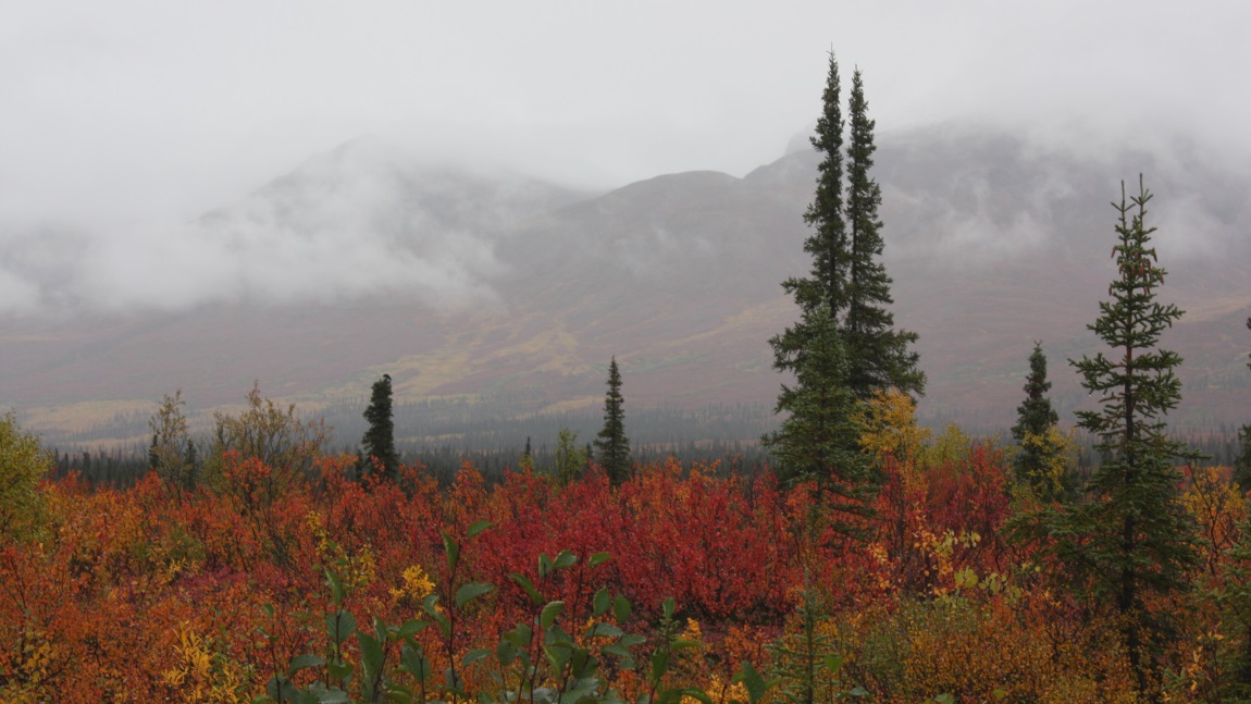 Seven miles east of Cantwell