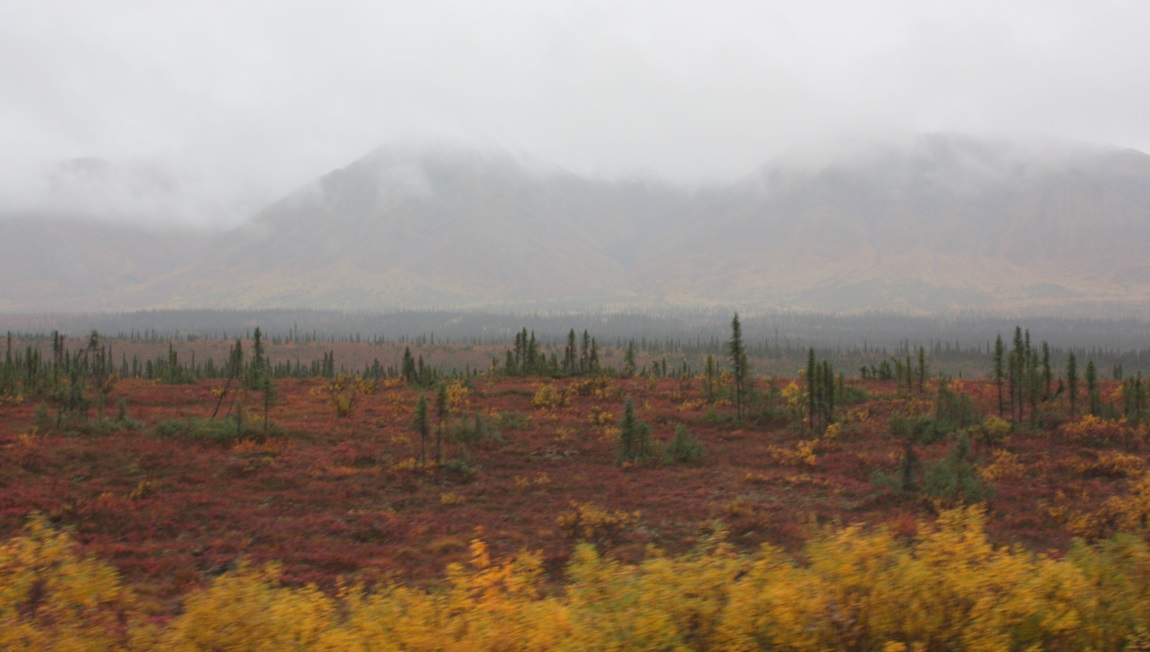 Few miles south of Cantwell