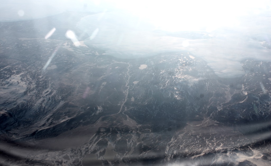 20 Miles West of Denmark Fjord in Northeastern Greenland