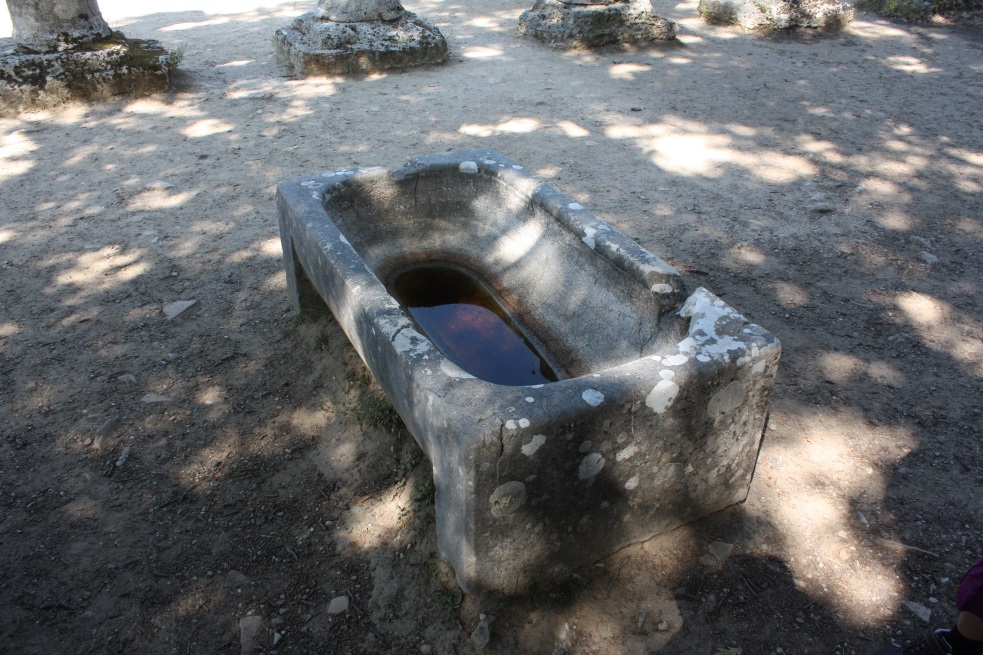 Possibly an old bathtub