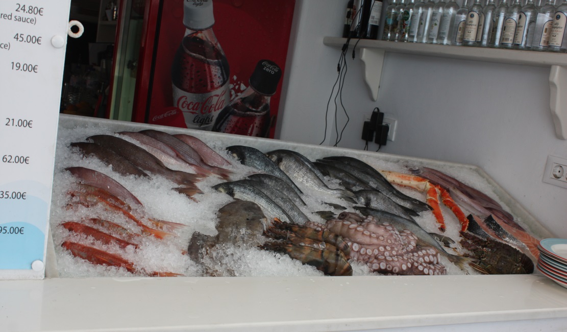 Fish is available but pricey