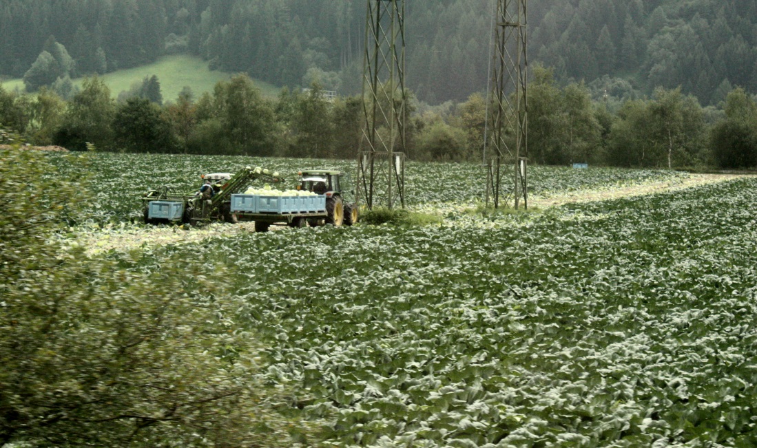 Farm in Pruno Elzenbaum, Italy