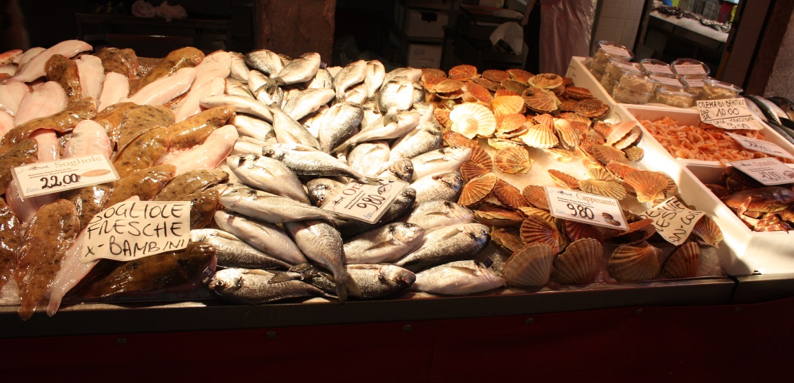Assorted selections at the fish market at Campo della Pescaria