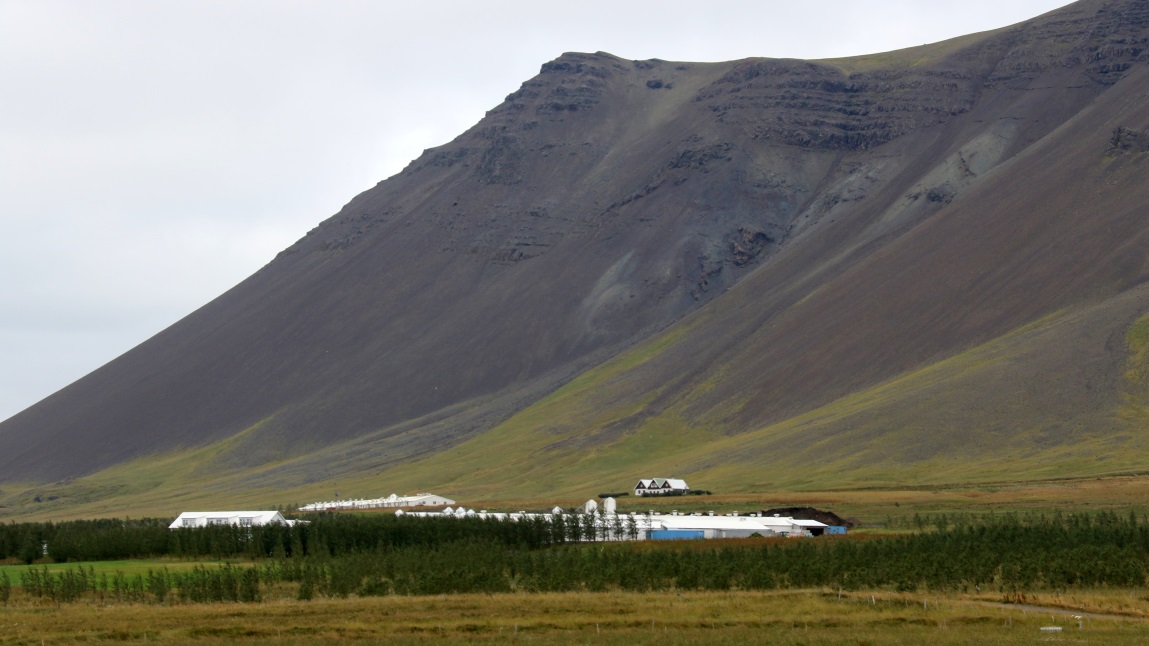 Farm East of Grundarhverfi