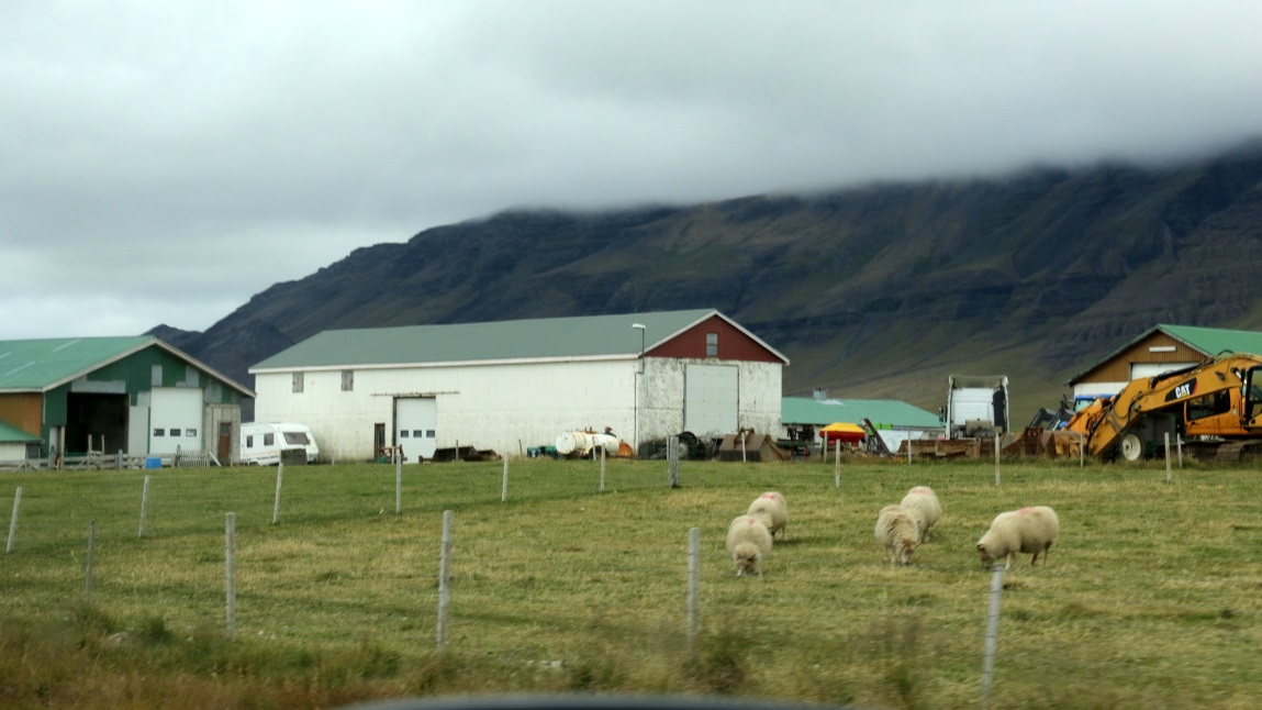 The Yztu Gar�ar farm in Kolbeinsstadhir
