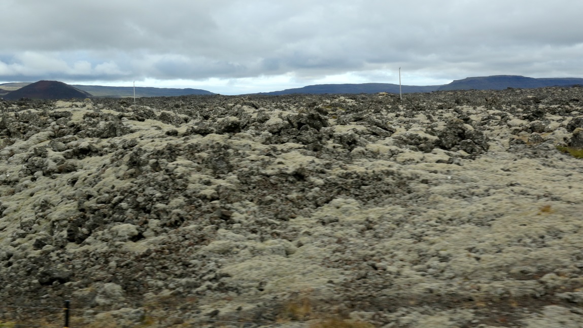Lava is covered with green moss