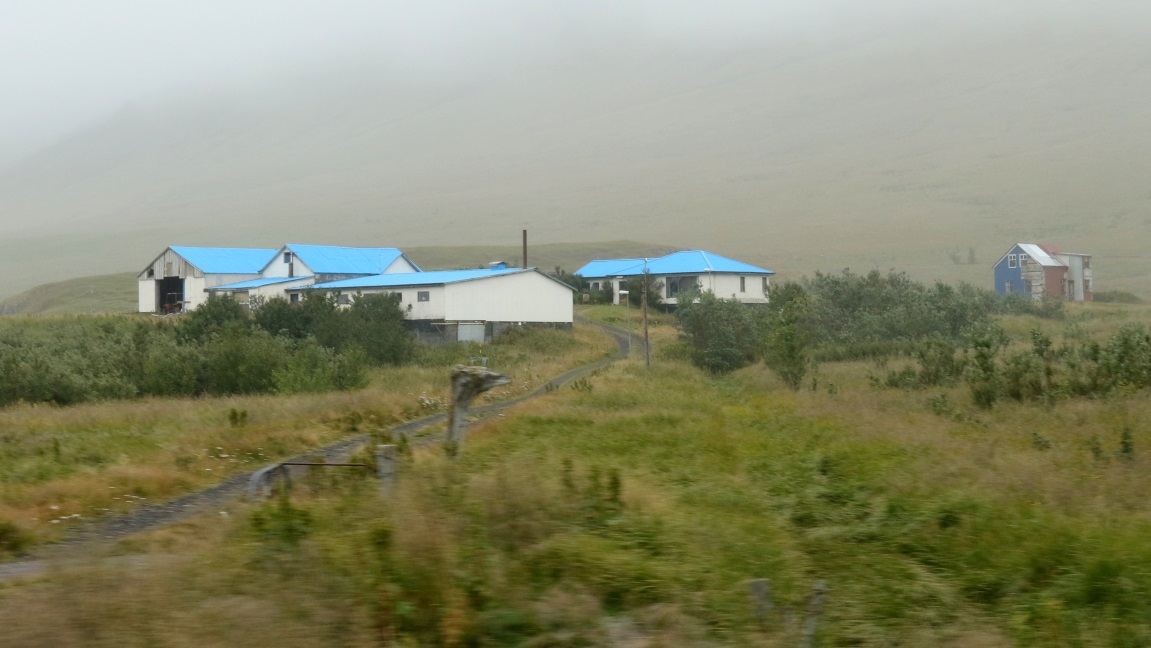 Blue roofs