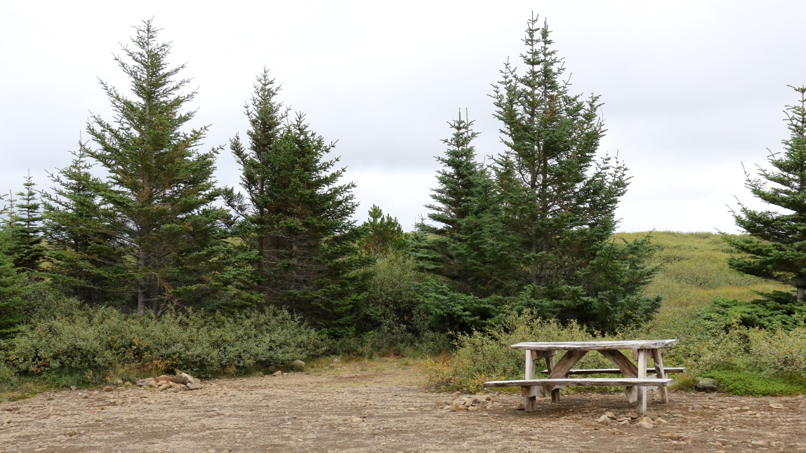 Great little place to stop for lunch