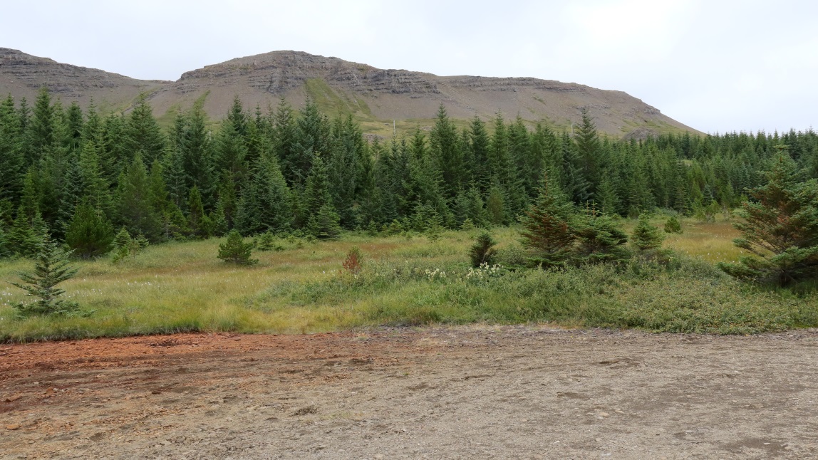 The L�gafell Hills from our lunch stop