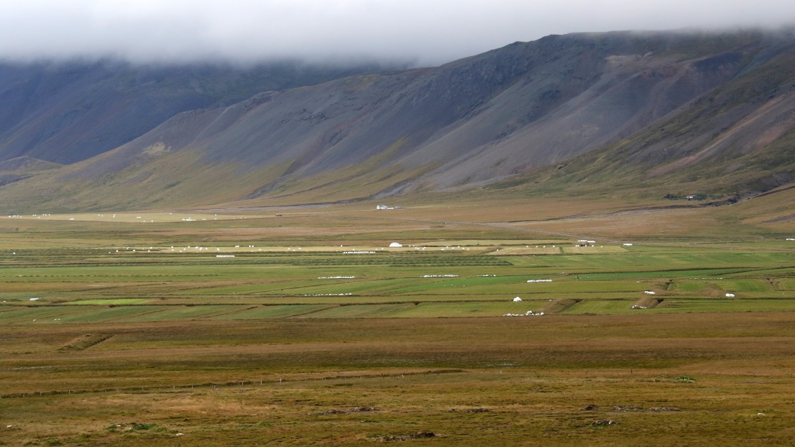 The Selvellir farms again