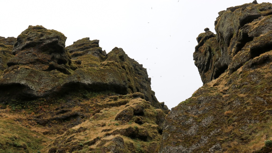 Another close up of the top of the canyon