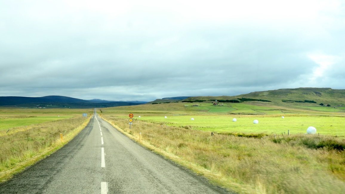 Endless plastic wrapped bales of hay