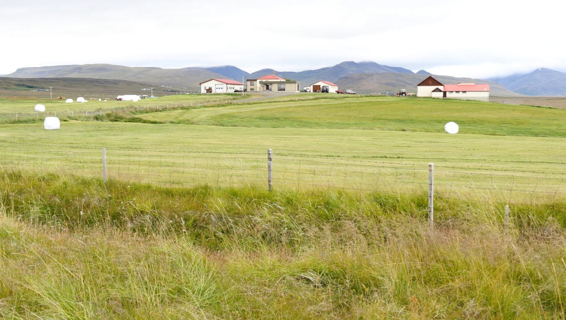 Modern farm buildings