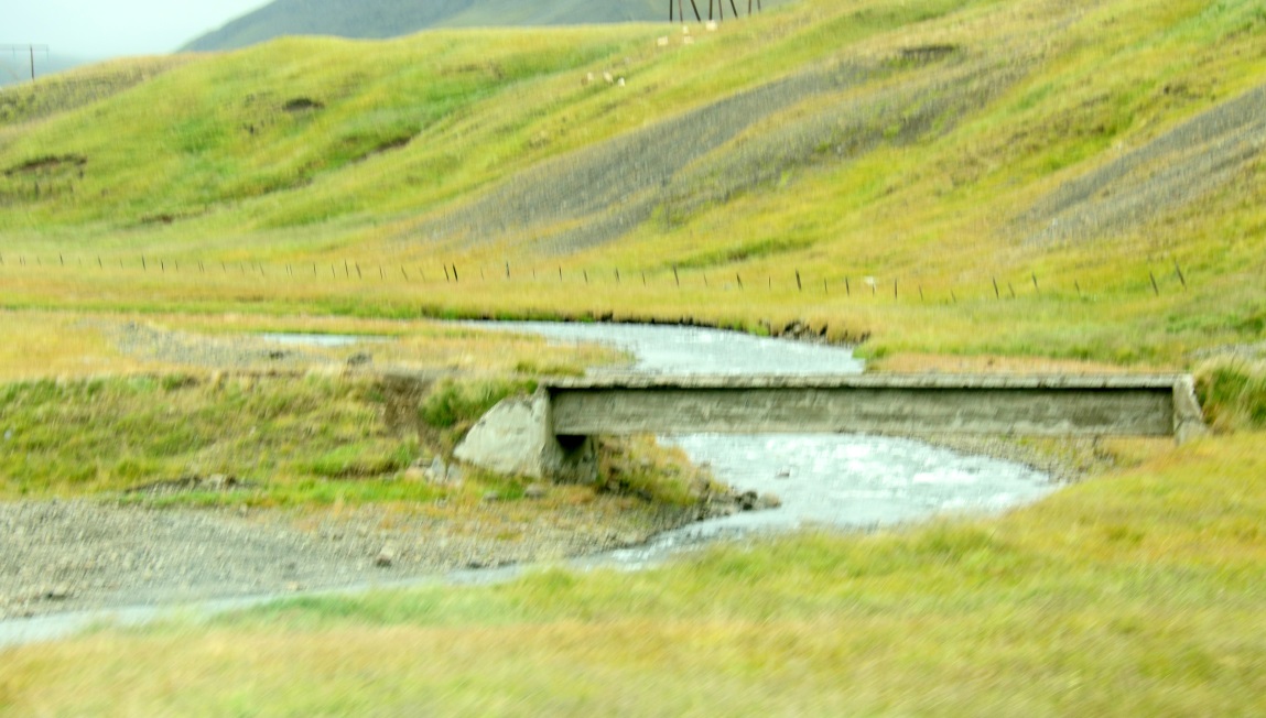 Animal people bridge