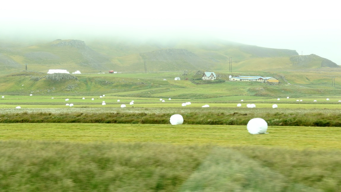 Ingunnarsta�ir Hay farm