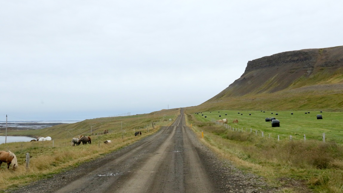 Farm in Garpsdalur
