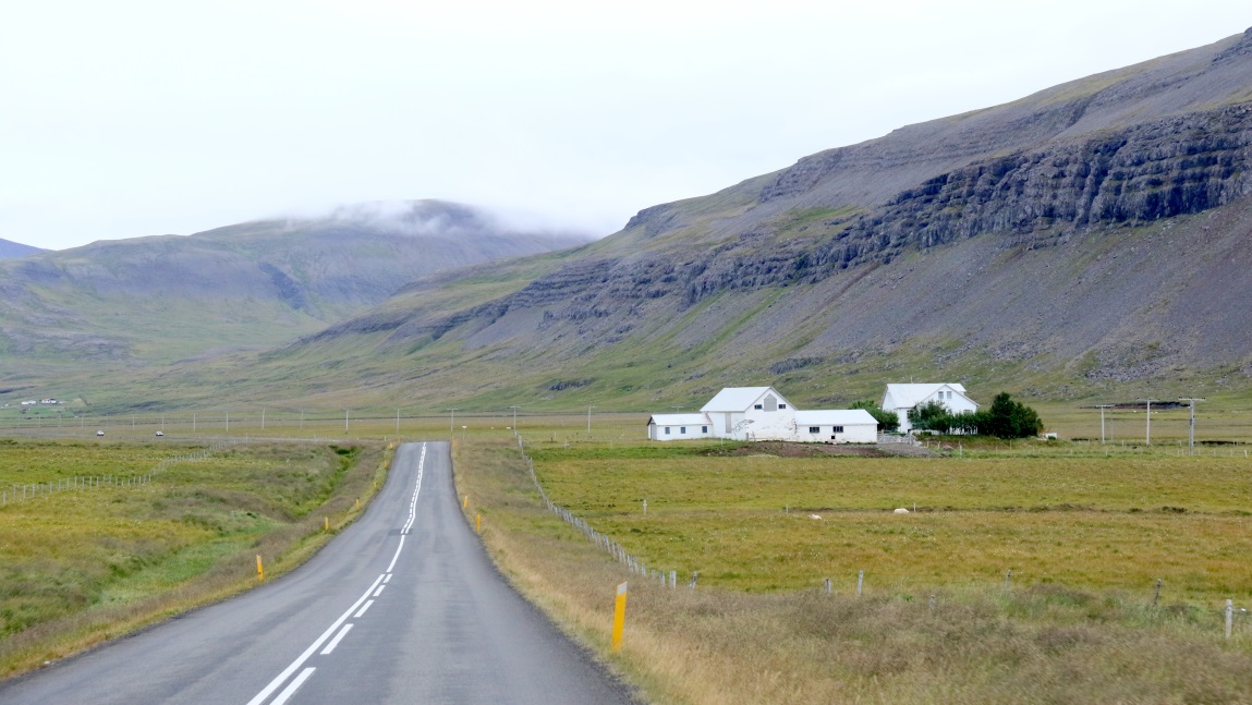 Farm with a few sheep