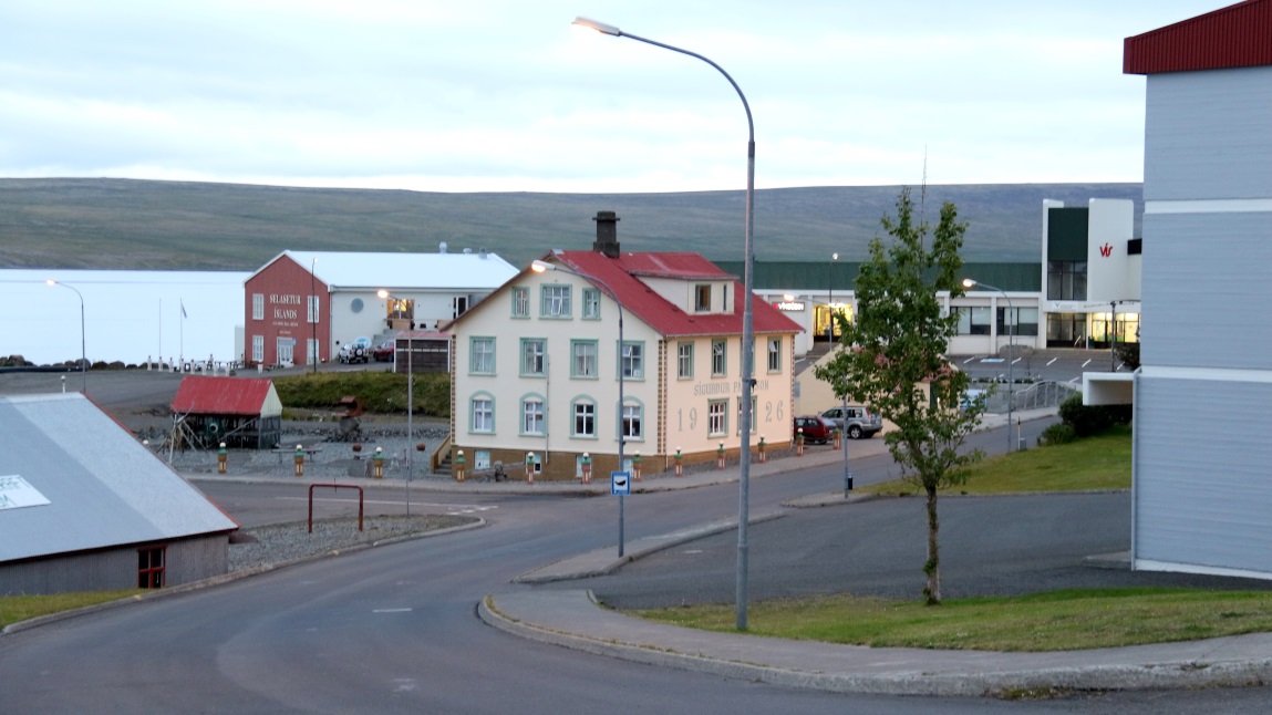 Icelandic Seal Center