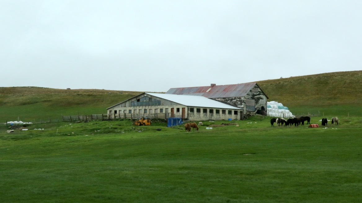 Horse farm