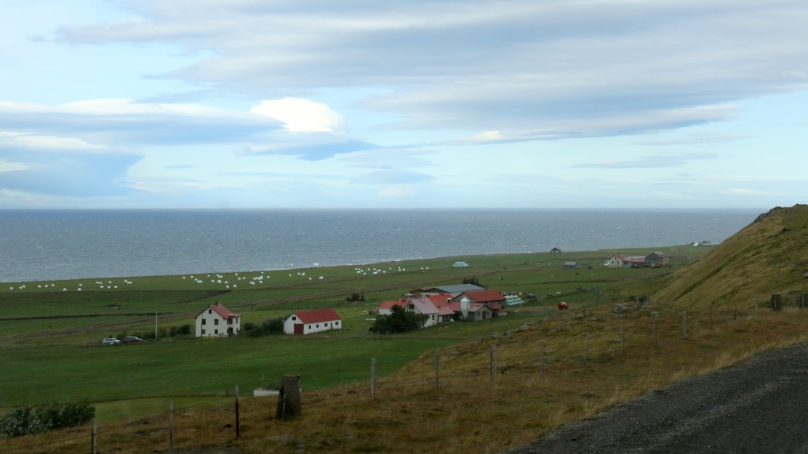 Hay farm