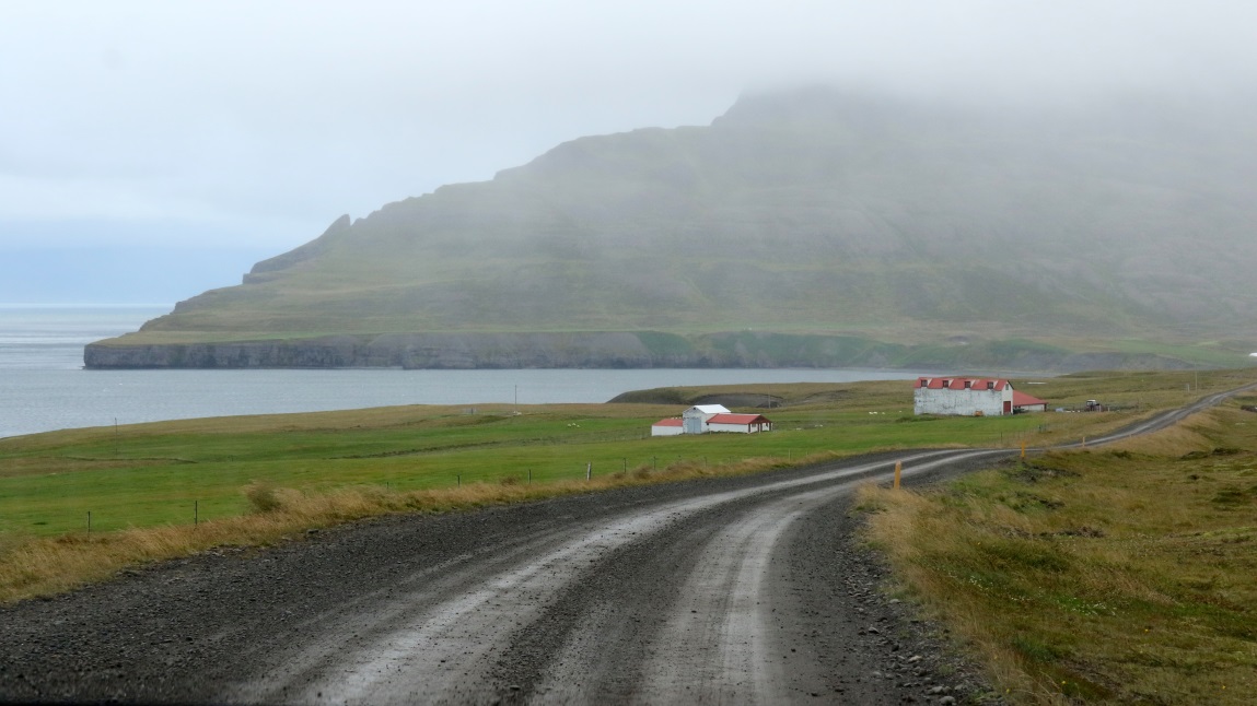 Foggy view