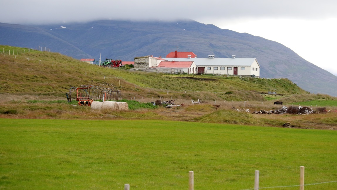 Classic looking Icelandic farm