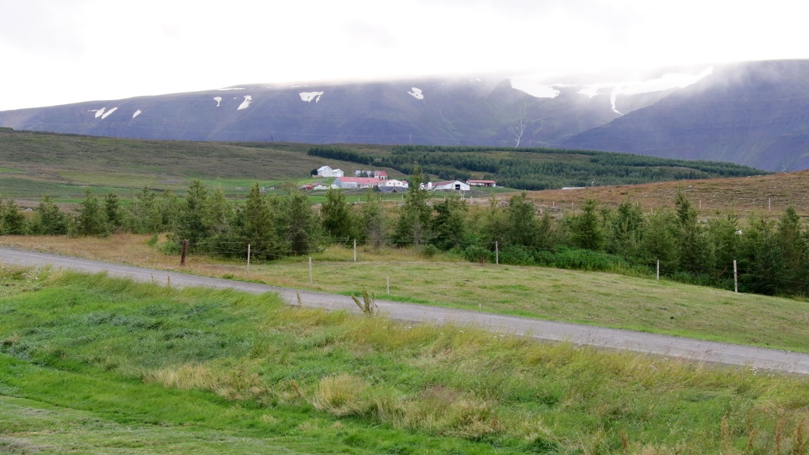 Skjaldarvik Guest House