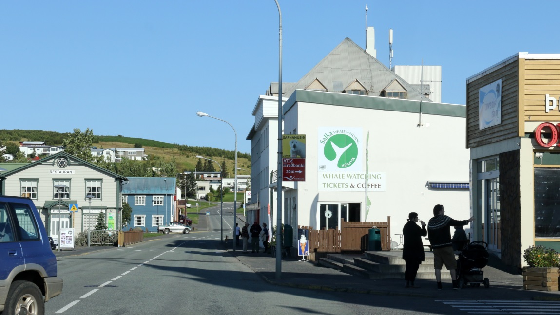 Salka Whale Watching