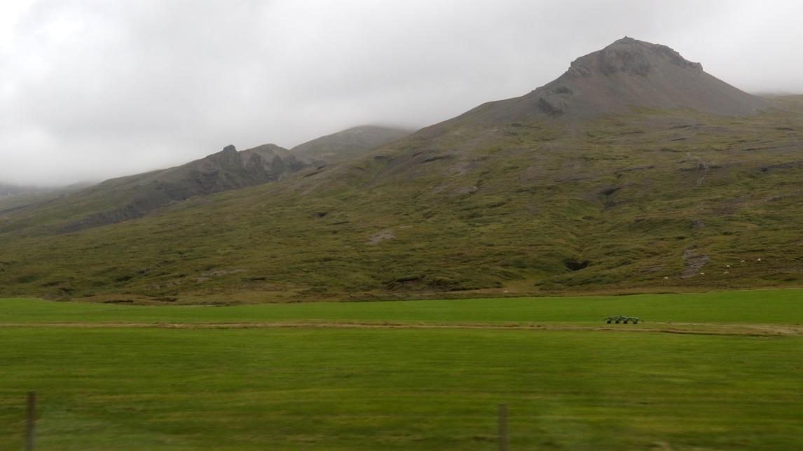 Green field