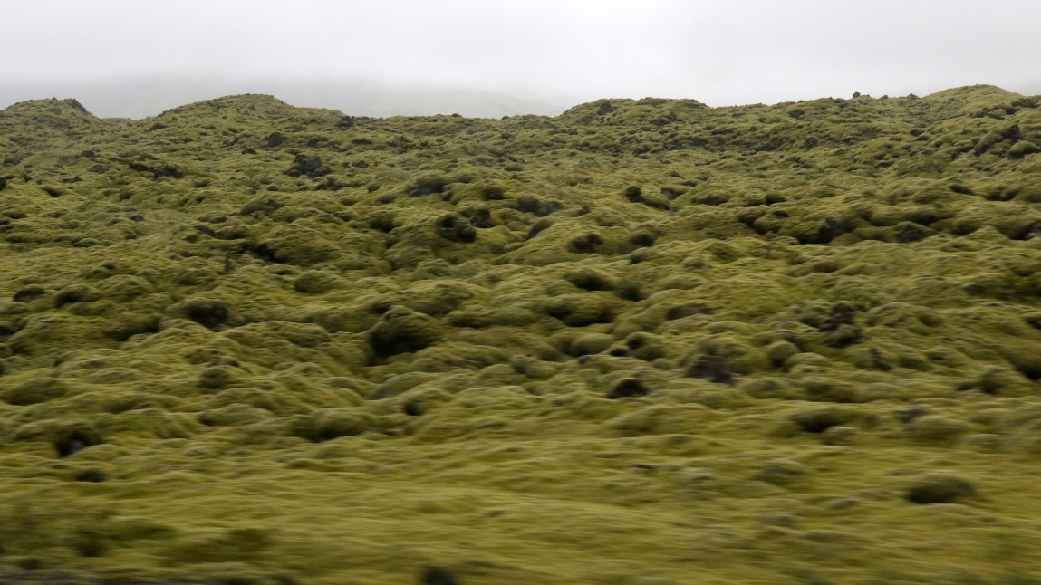 Moss covered lava boulders