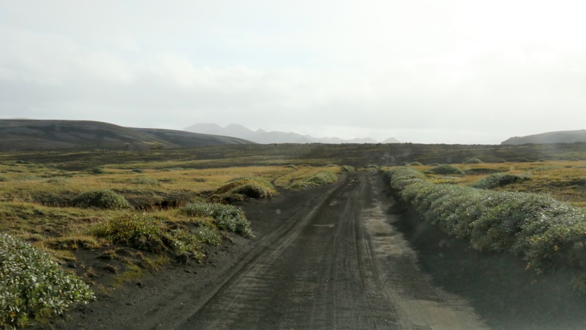 Dirt with grasses
