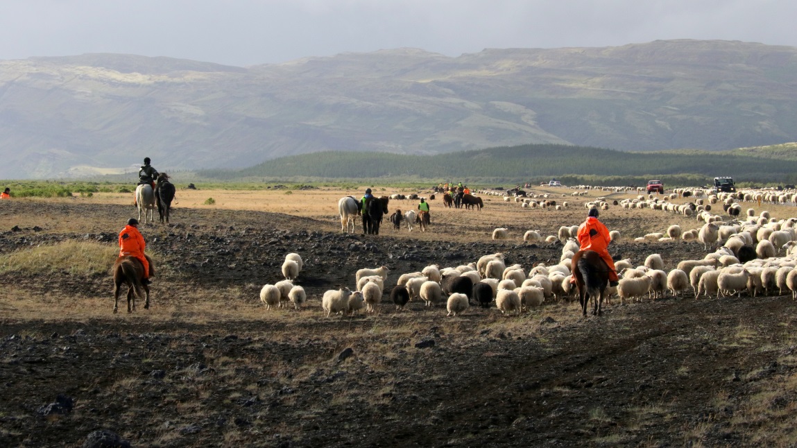 Slow march