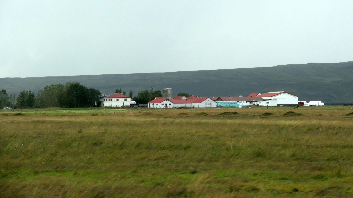 Farm in �lafsvellir