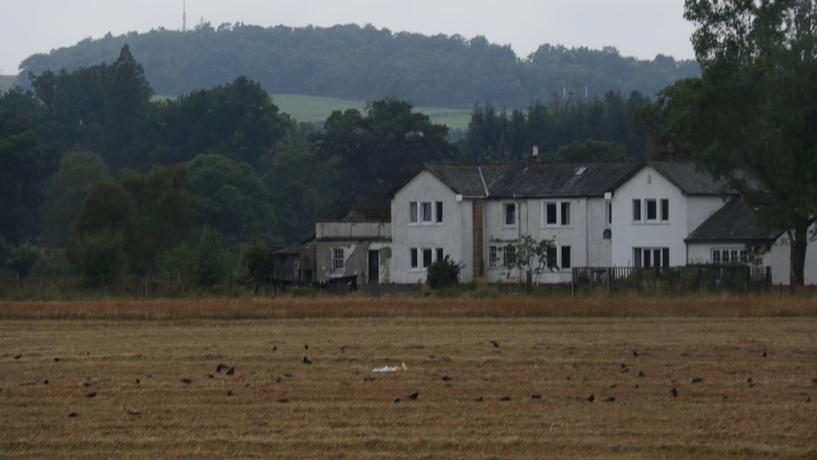 Another farm in Killearn