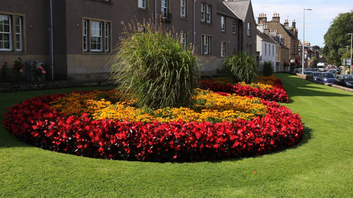 Colorful flowers in Melrose