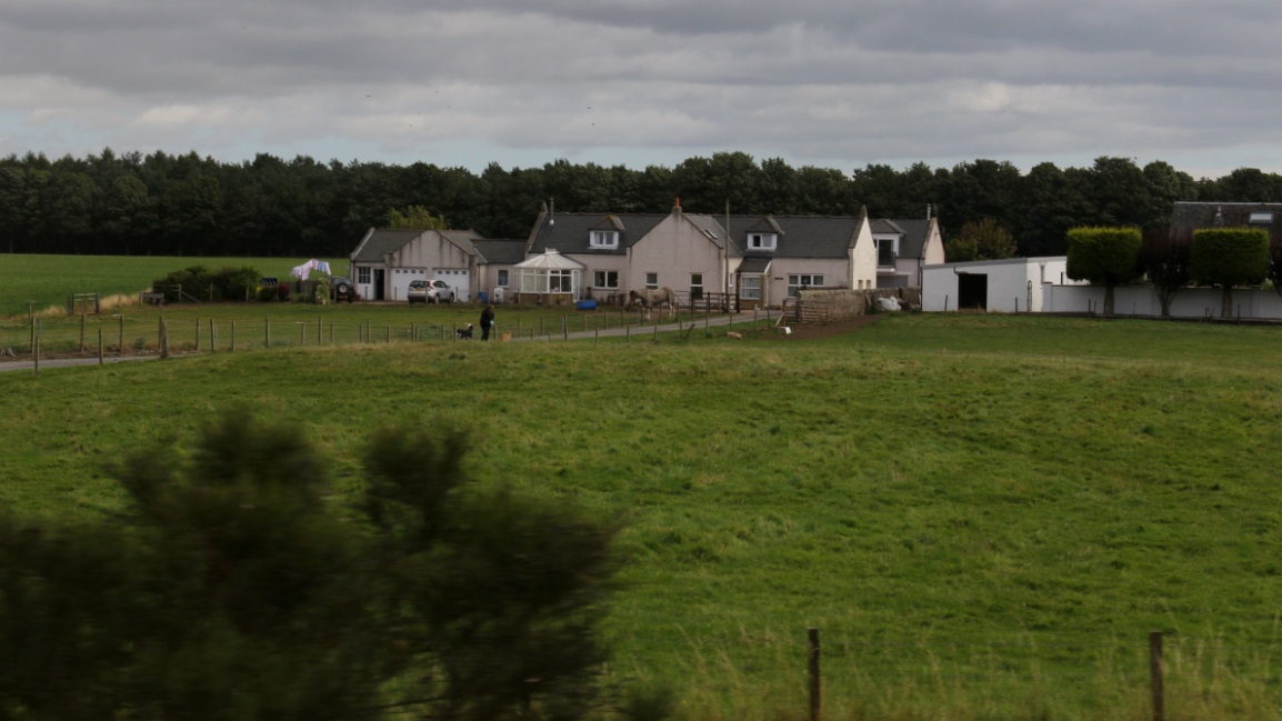 Farm in St. Michaels
