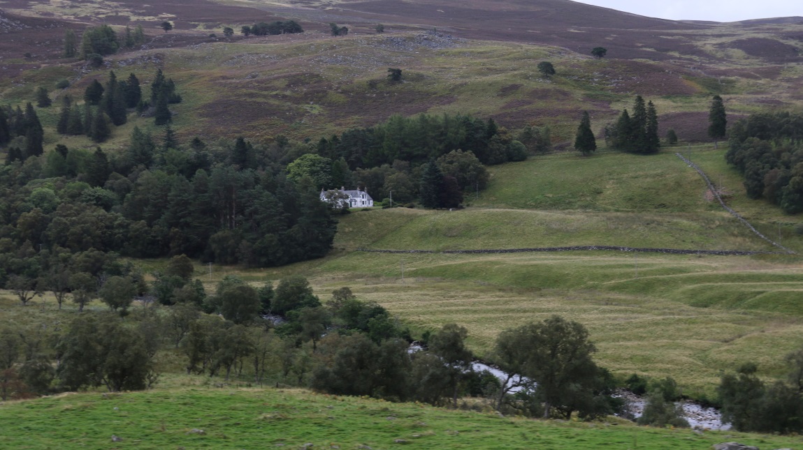 Black Water stream