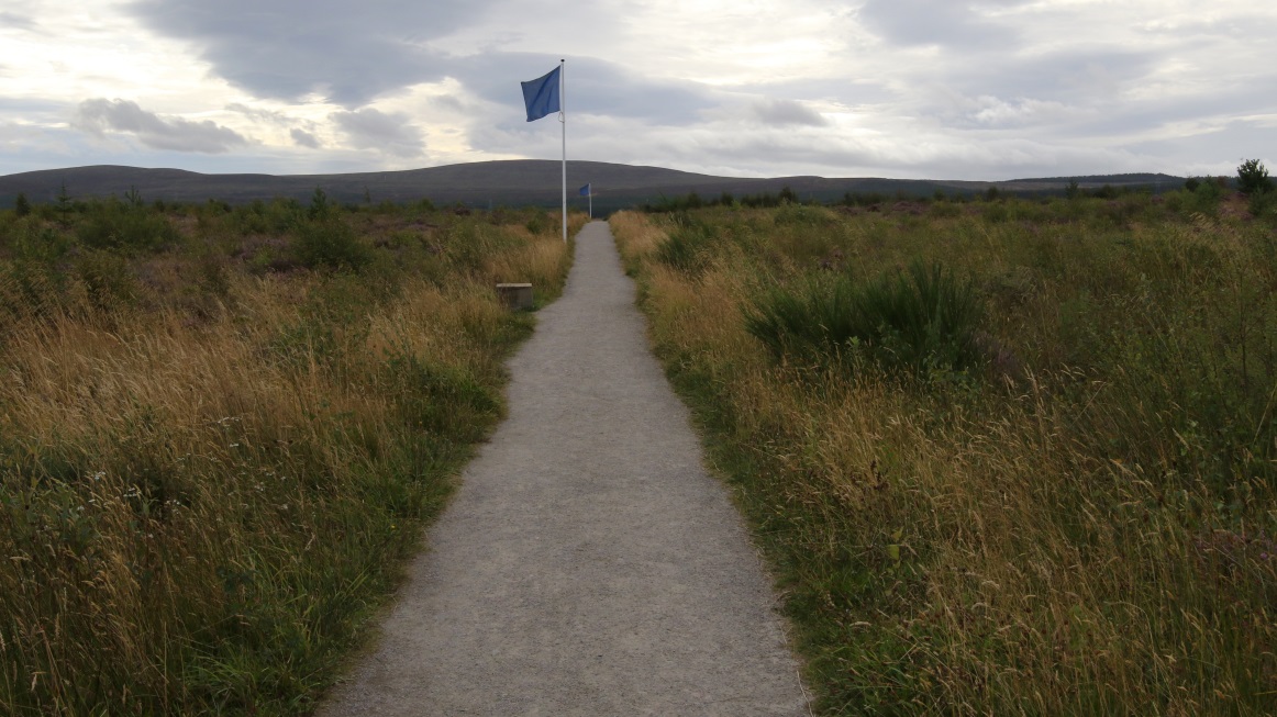 Jacobites were lined up