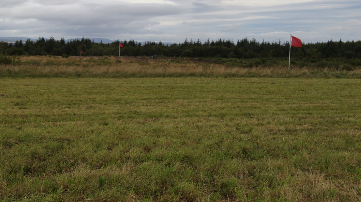 Line of Government troops