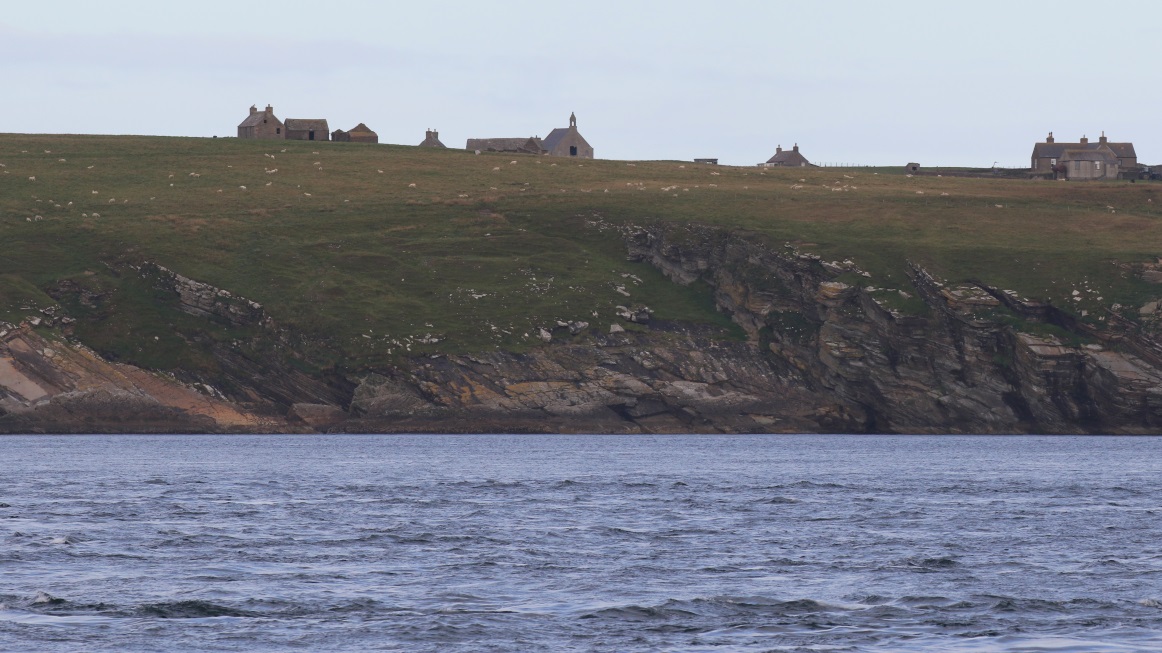 Sheep on Stroma