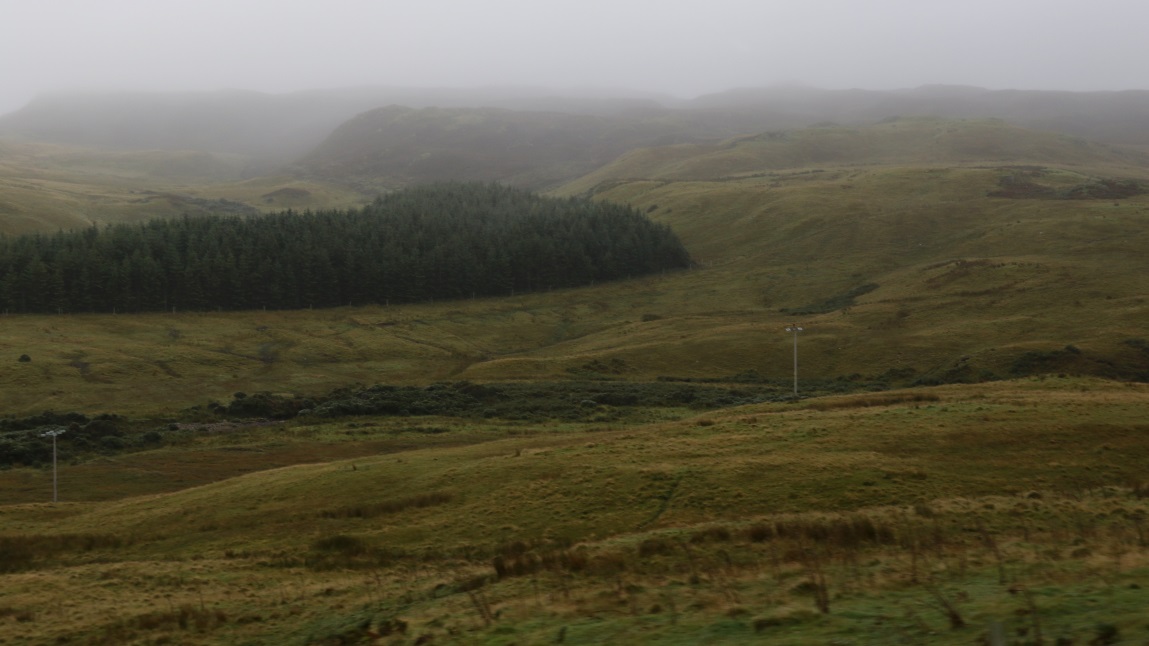 Rolling landscape in Armadale